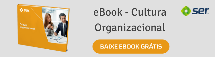ebook cultura organizacional